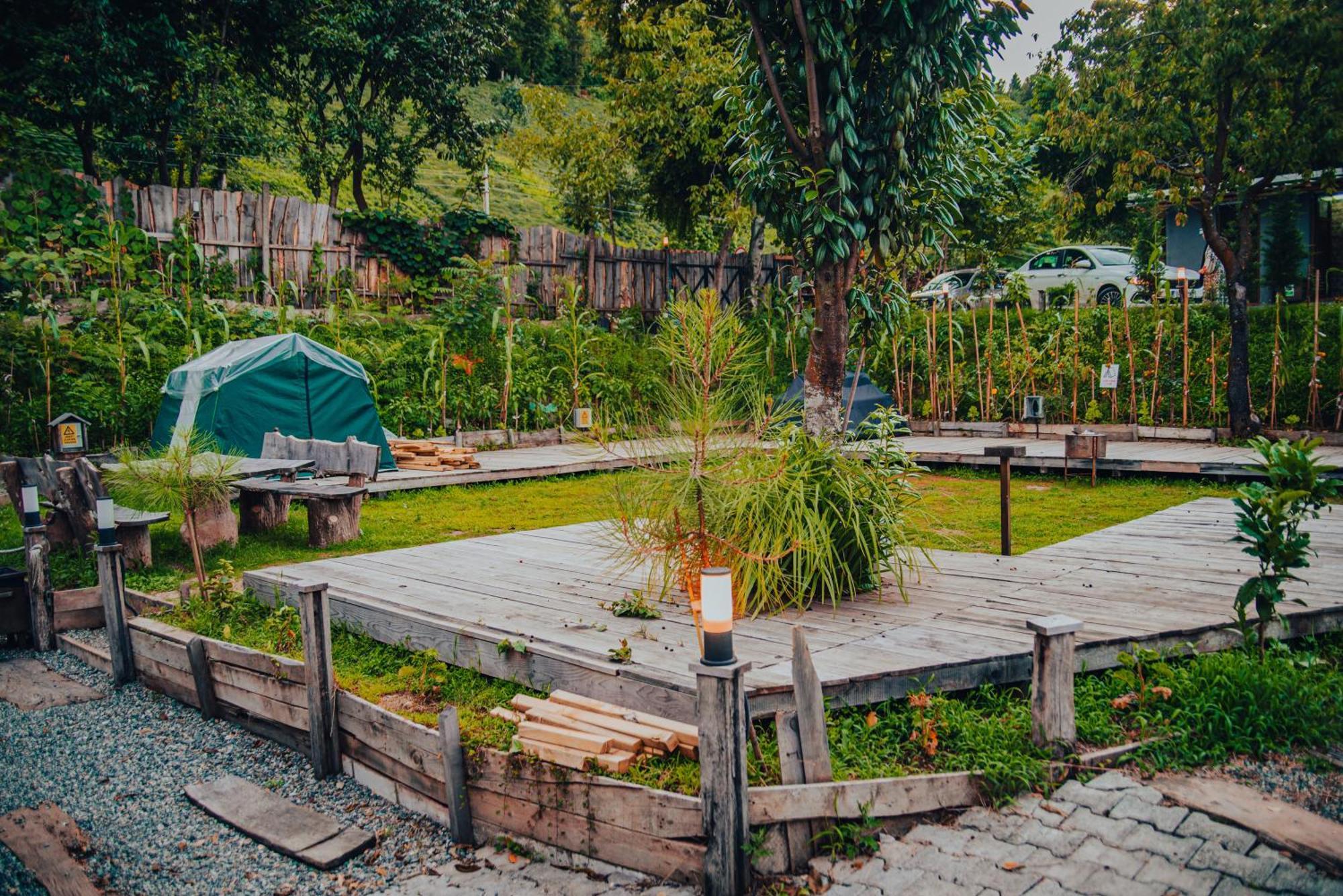 Danzi Camping Tiny House Rize Buitenkant foto