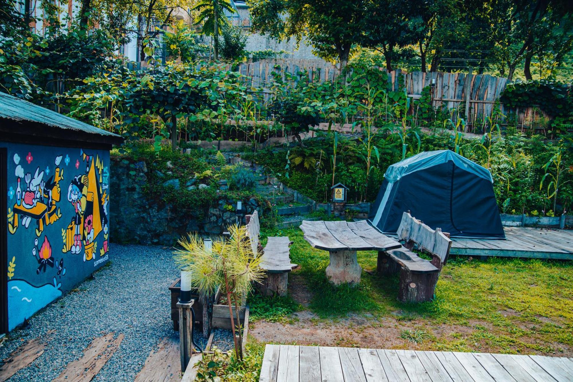 Danzi Camping Tiny House Rize Buitenkant foto