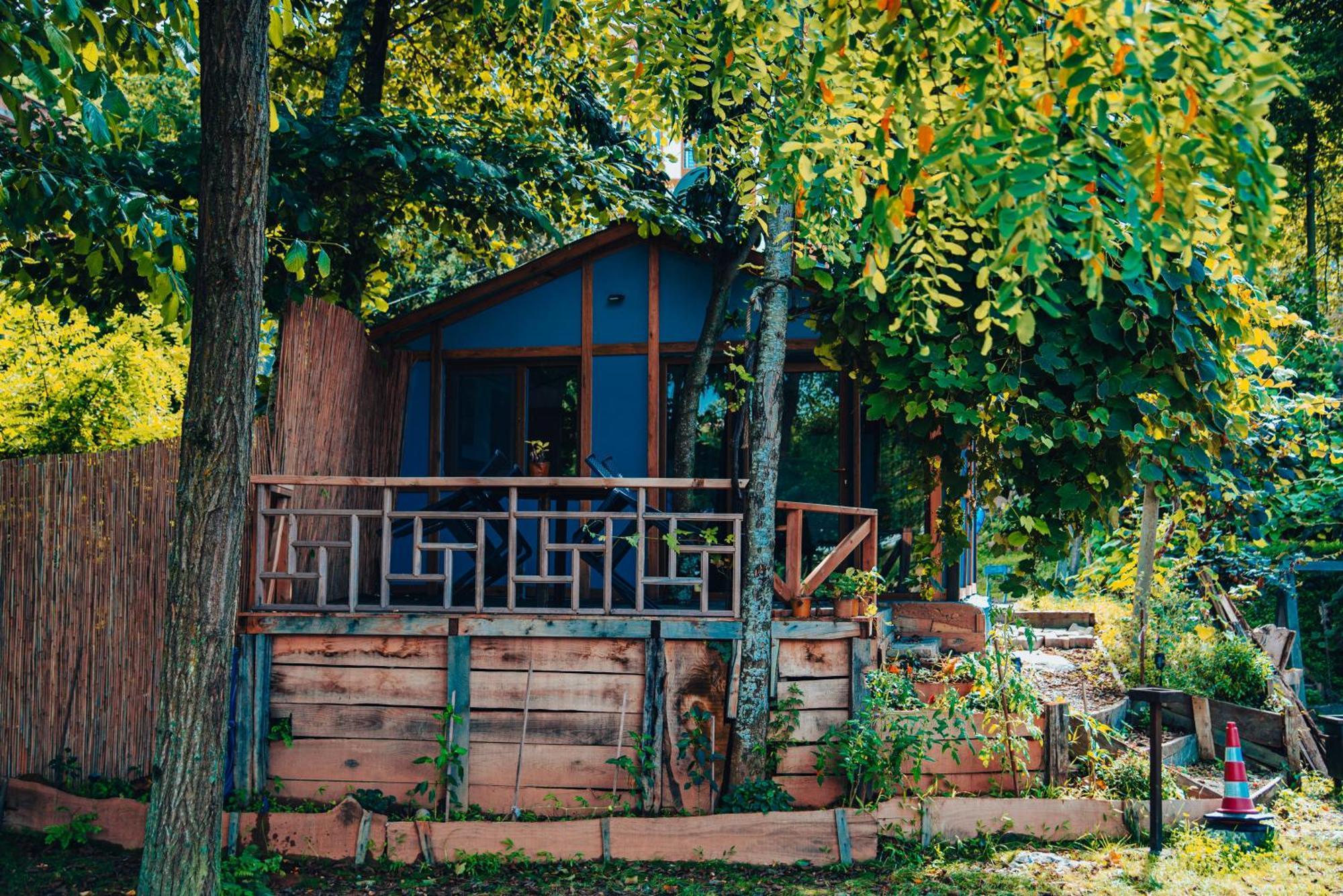 Danzi Camping Tiny House Rize Buitenkant foto